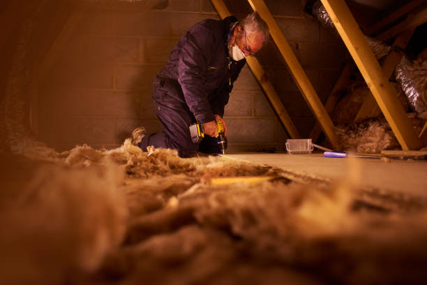 Best Insulation Installation Services in Eureka Springs, AR
